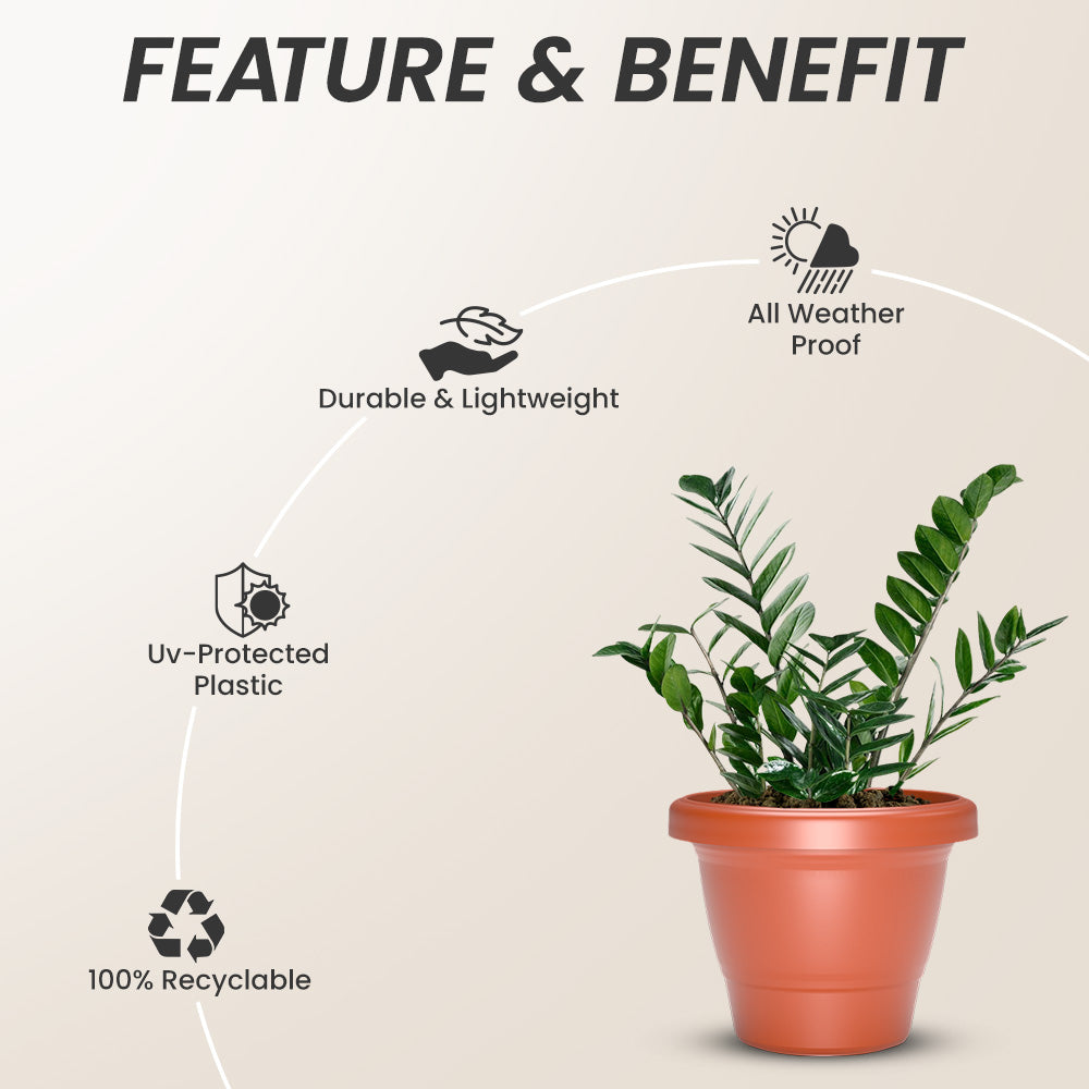 SHERA | SD PLANTER