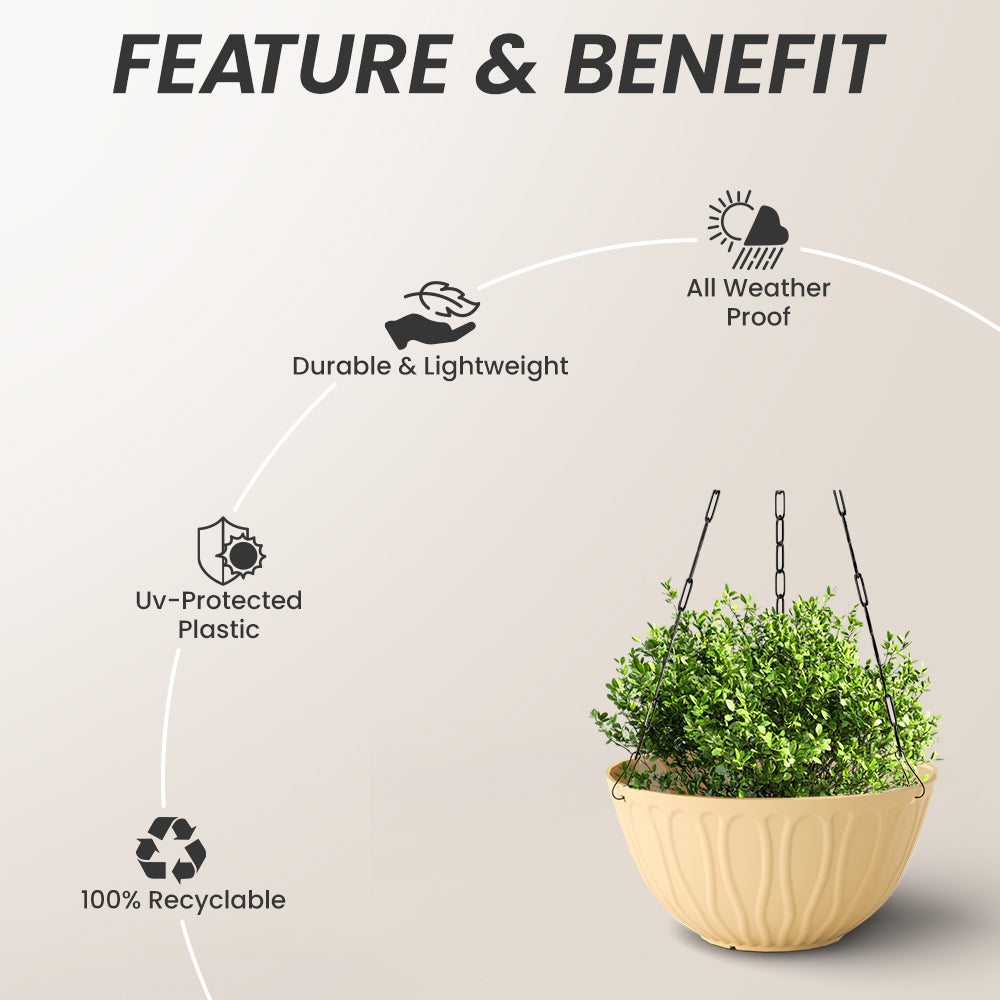 SHERA | WAVE HANGING