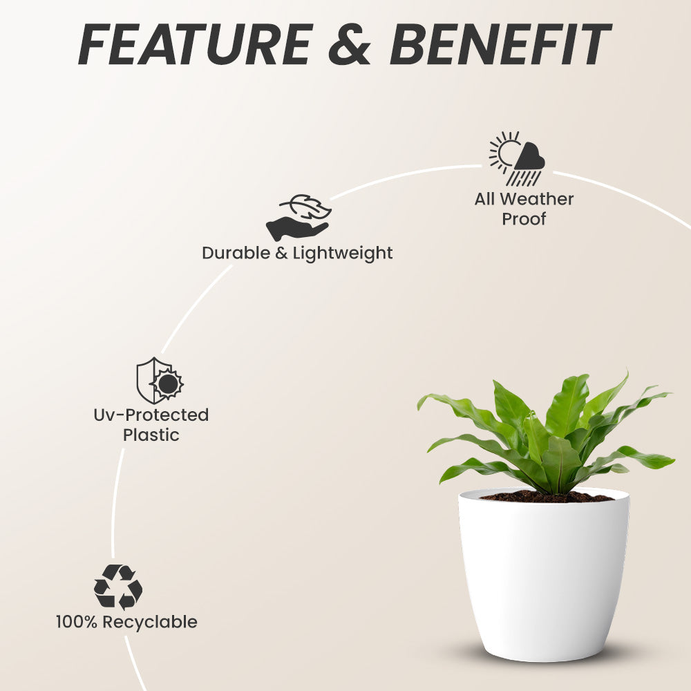 SHERA | STELLA PLANTER