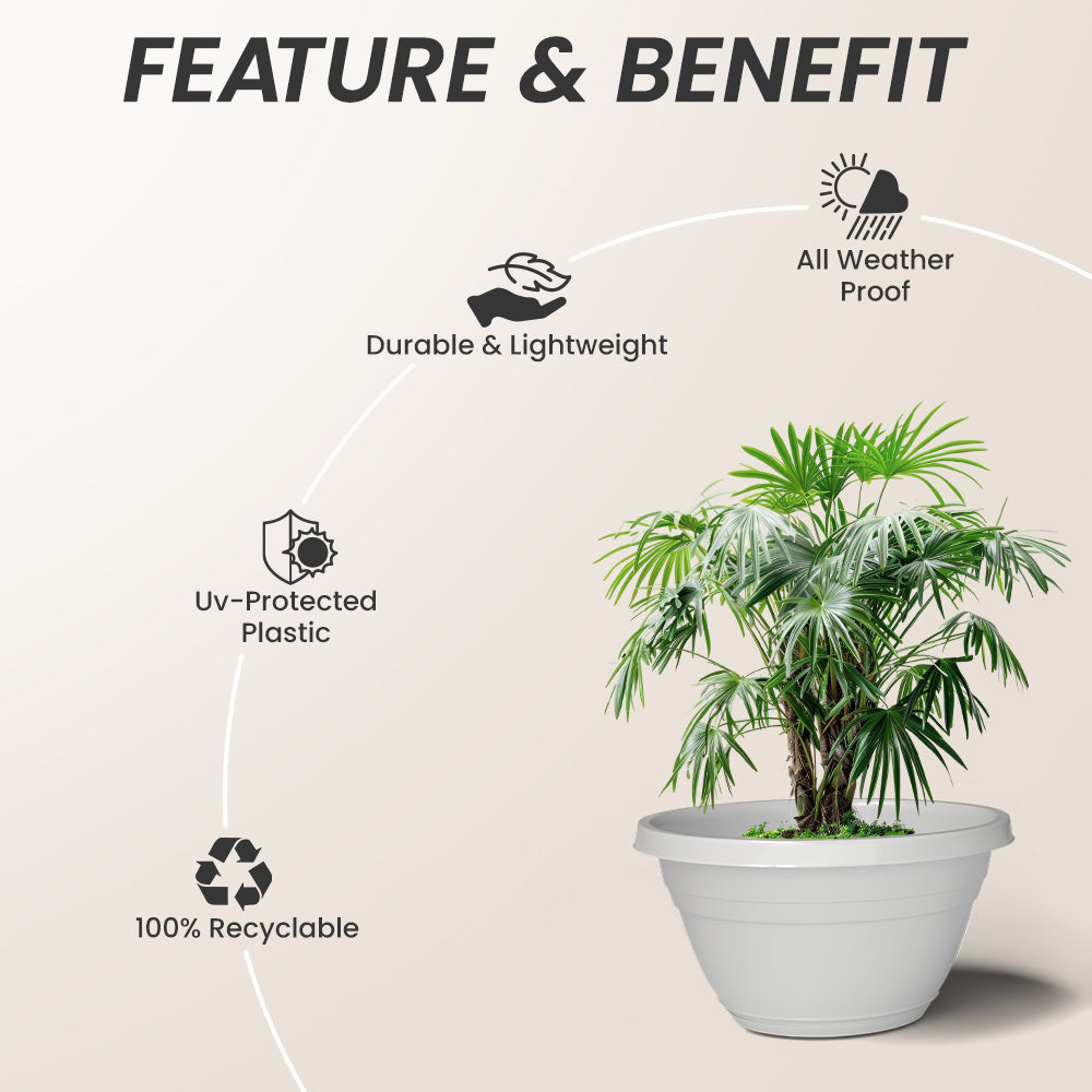 SHERA | BOTANICA BONSAI KTR PLANTER