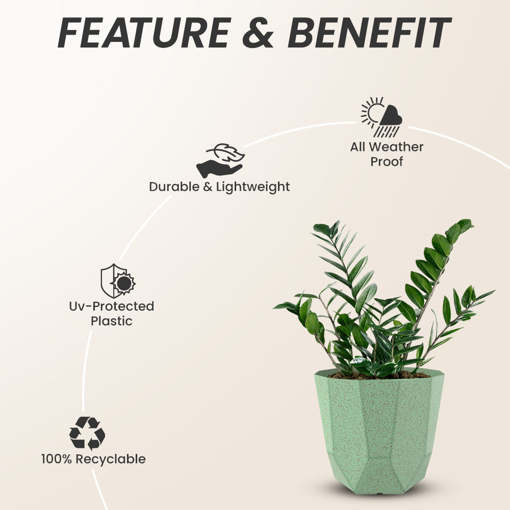SHERA | HEXA BIO PLANTER