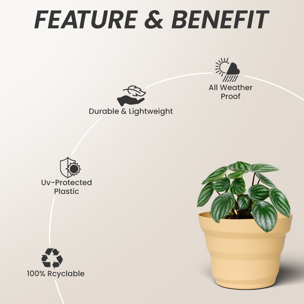 SHERA | RING PLANTER