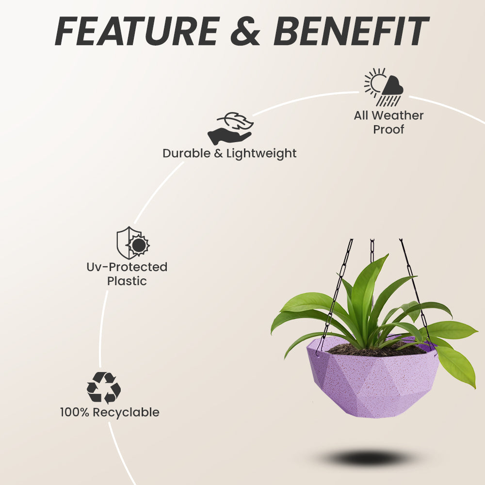 SHERA | DMD KTR BIO HANGING