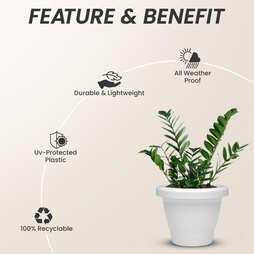 SHERA | SD PLANTER