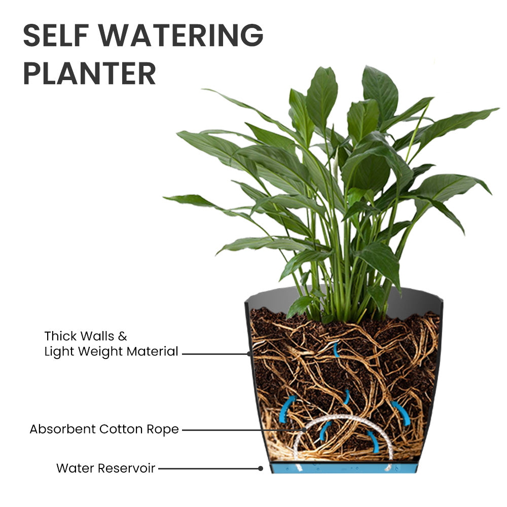 SHERA | ZINNIA PLANTER