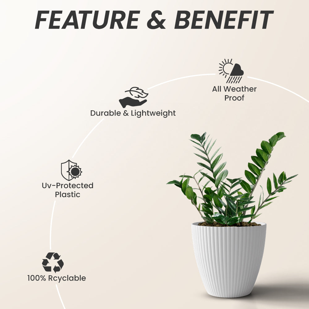 SHERA | LOTUS PLANTER