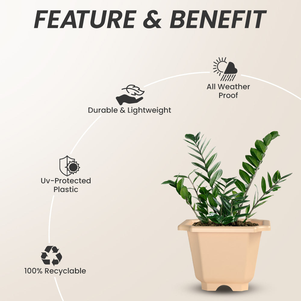 SHERA | OCTA PLANTER SET OF 3