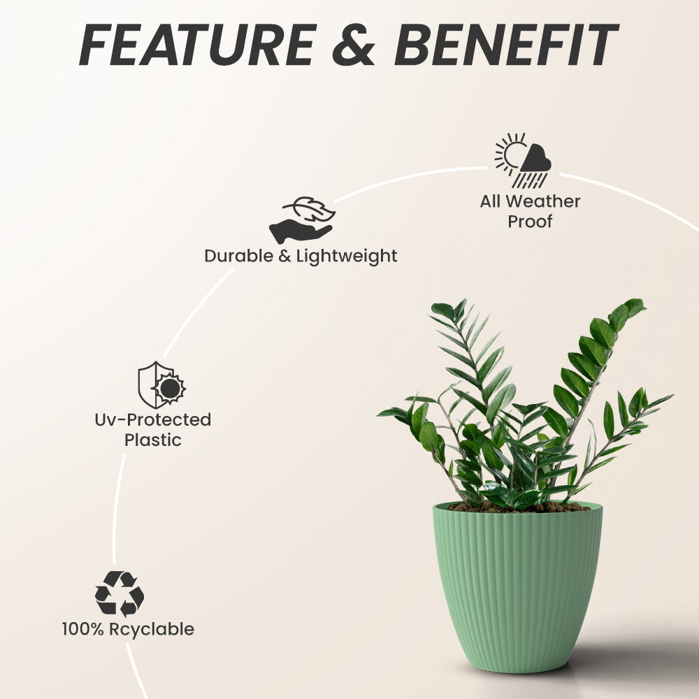 SHERA | LOTUS PLANTER