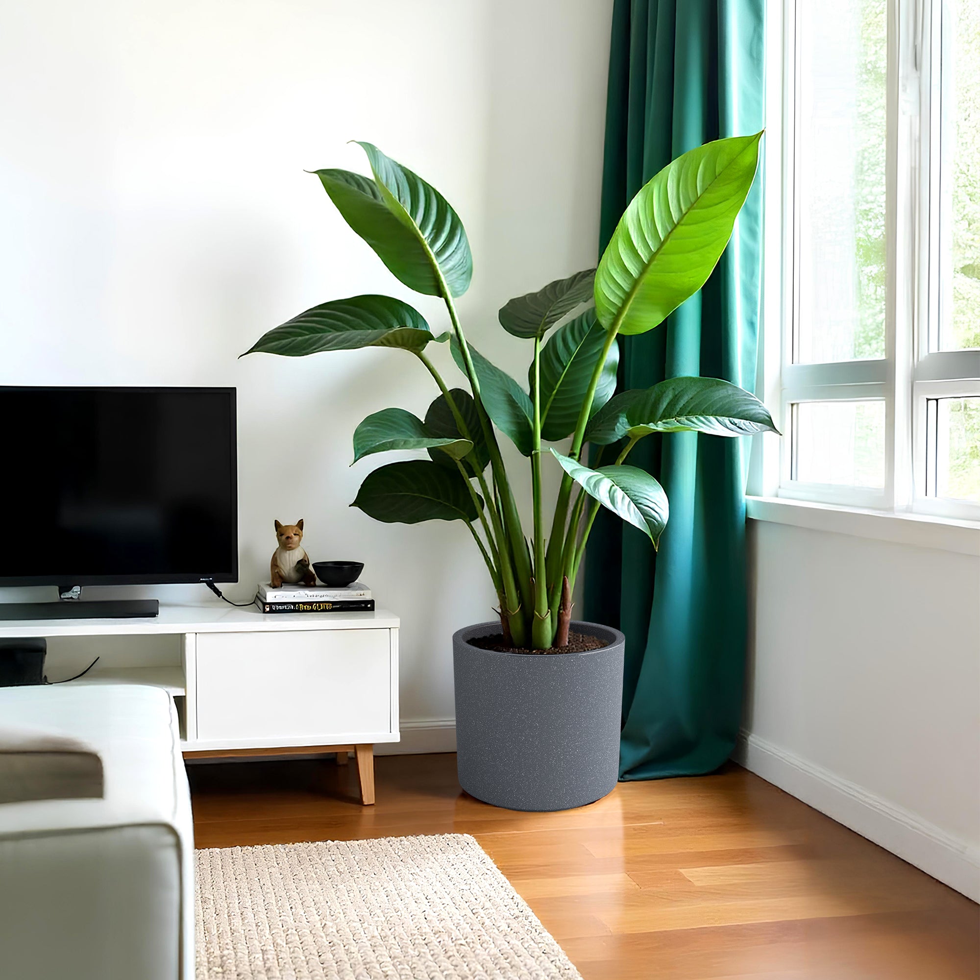 FOX B | CILIN PLANTER