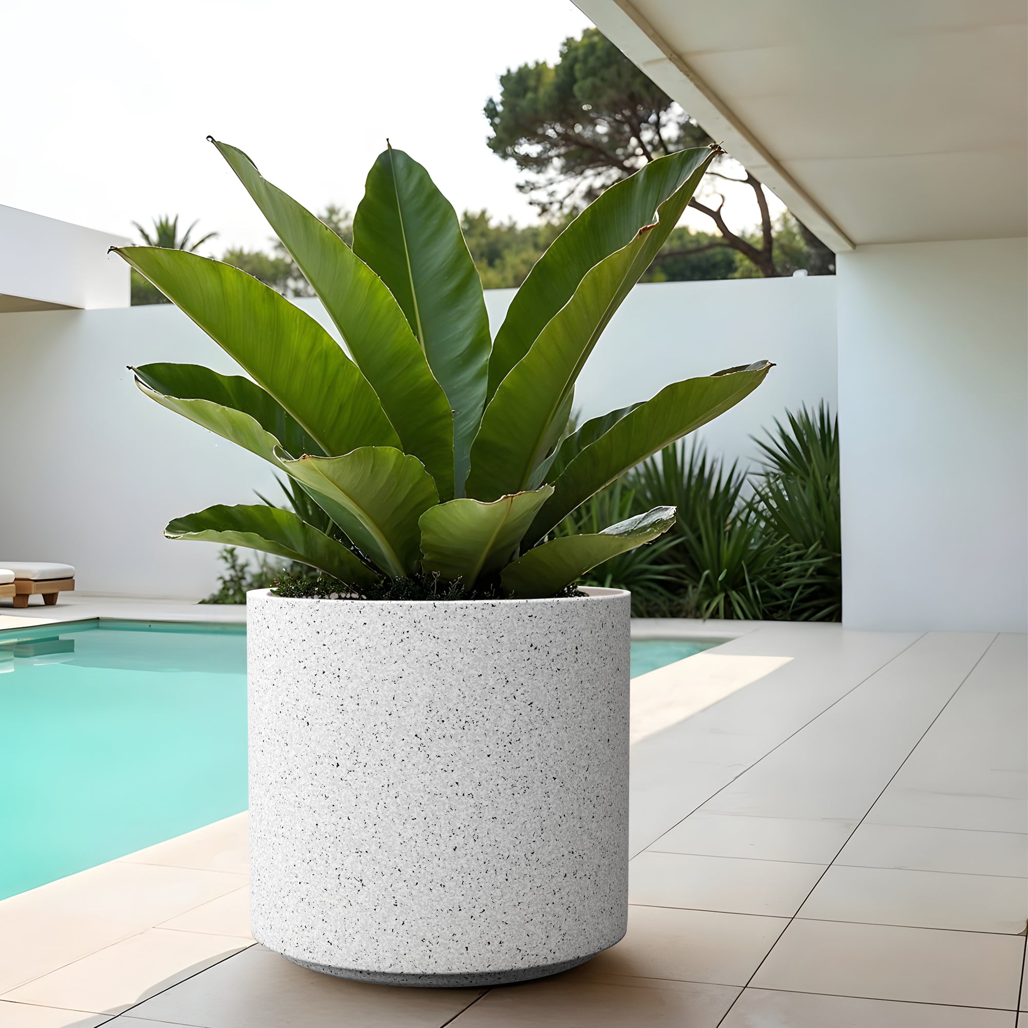 FOX B | CILIN PLANTER