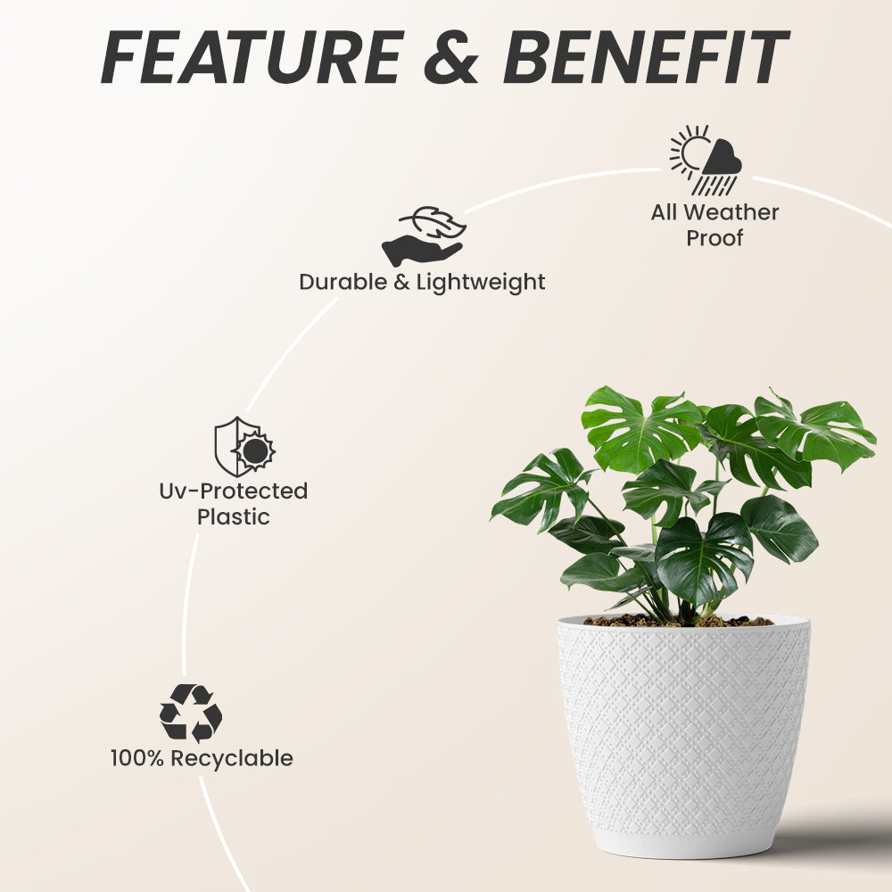 SHERA | CRUZ PLANTER