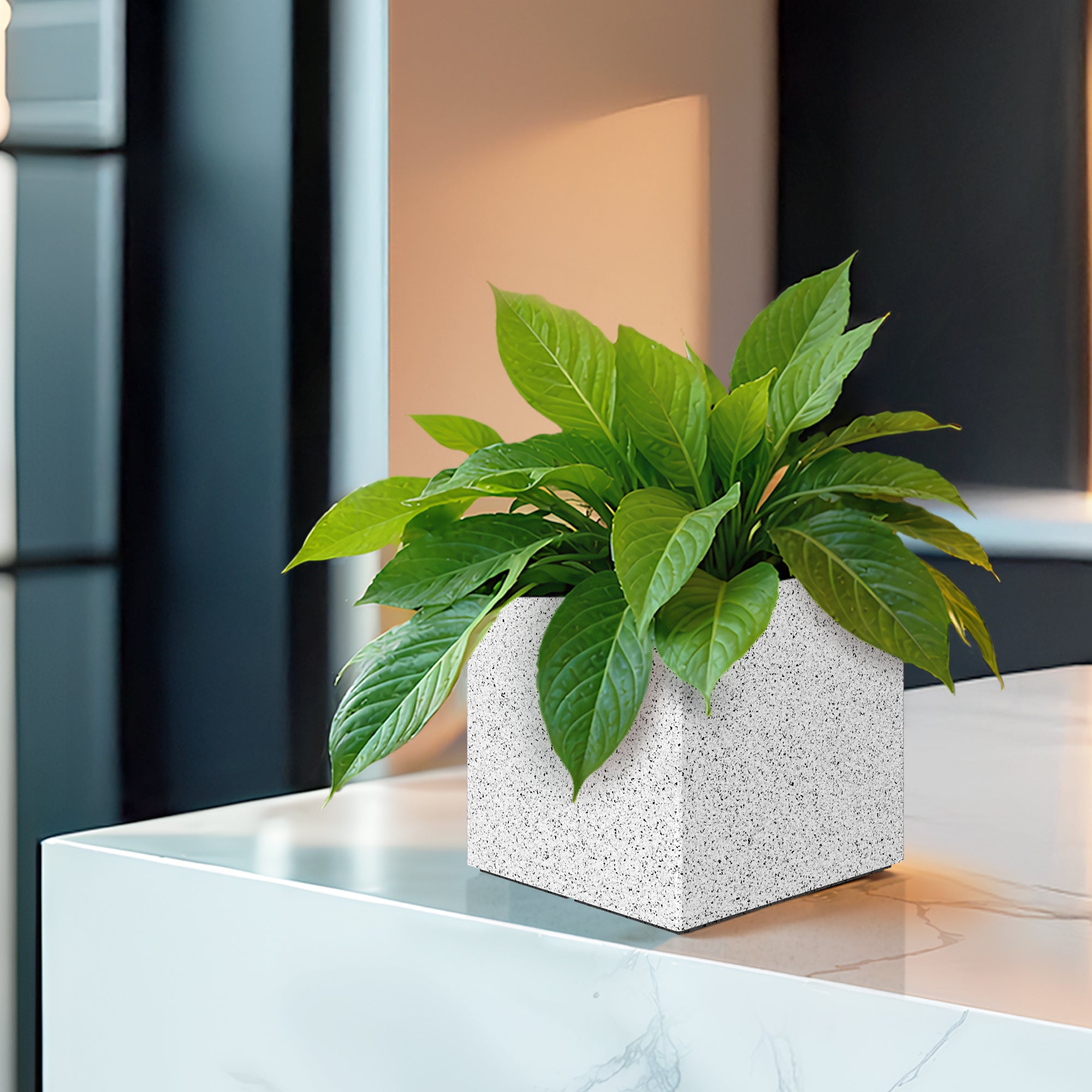 FOX B | CUBO PLANTER