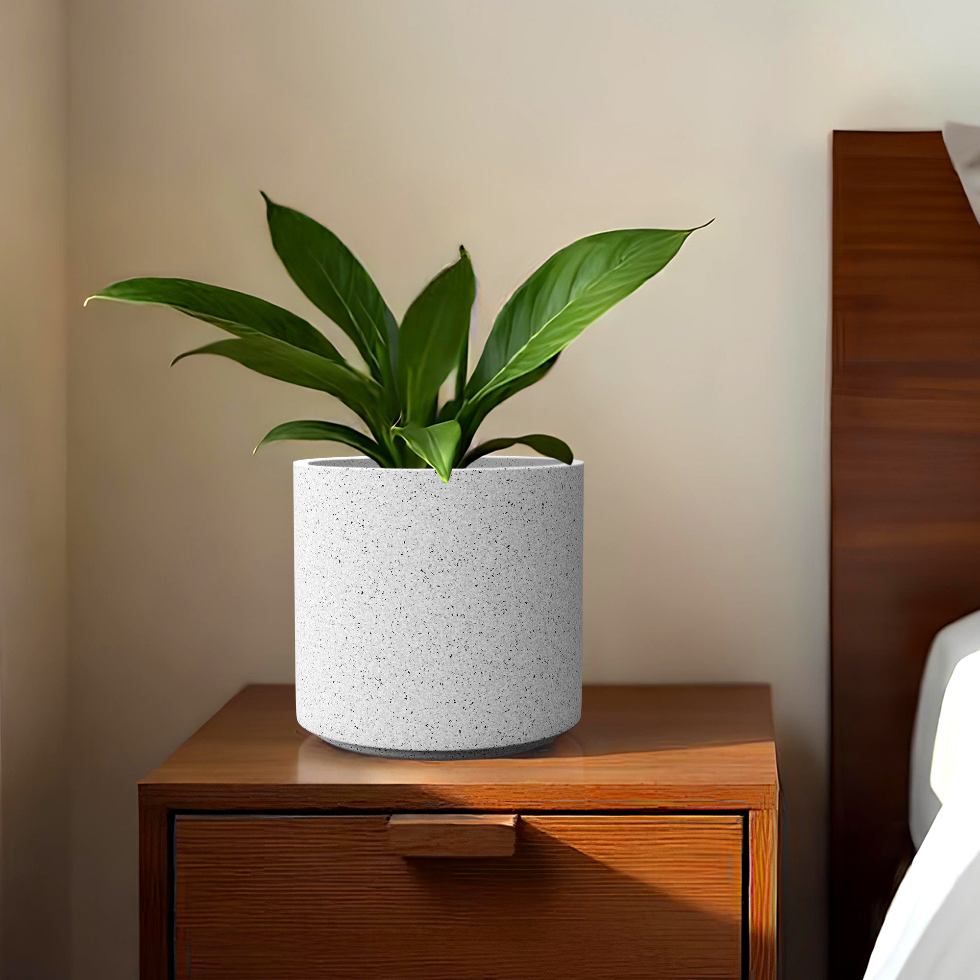 FOX B | CILIN PLANTER