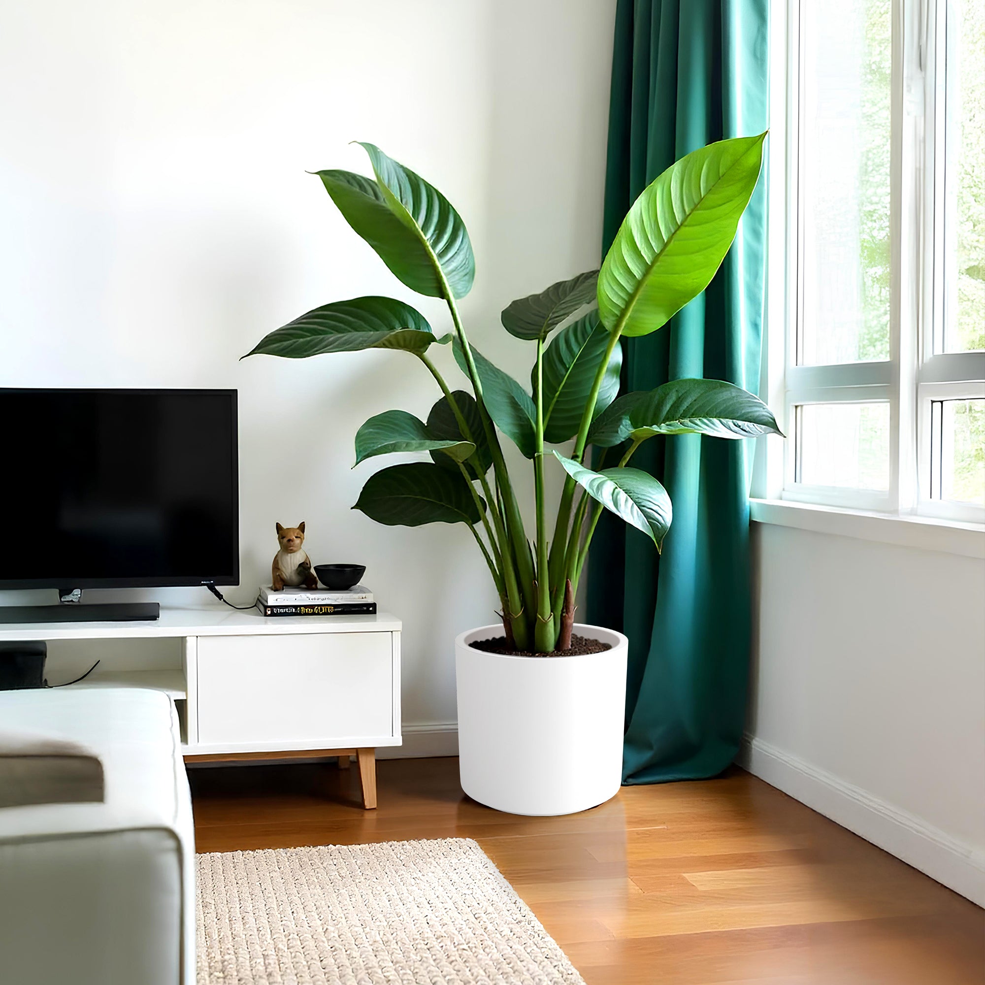 FOX B | CILIN PLANTER