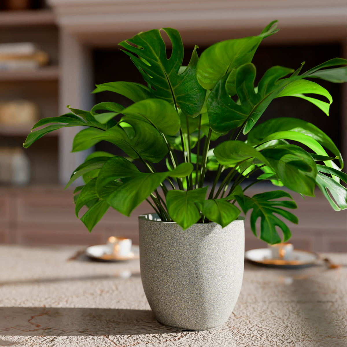 FOX B | P CUP PLANTER 6 INCH TO 15 INCH