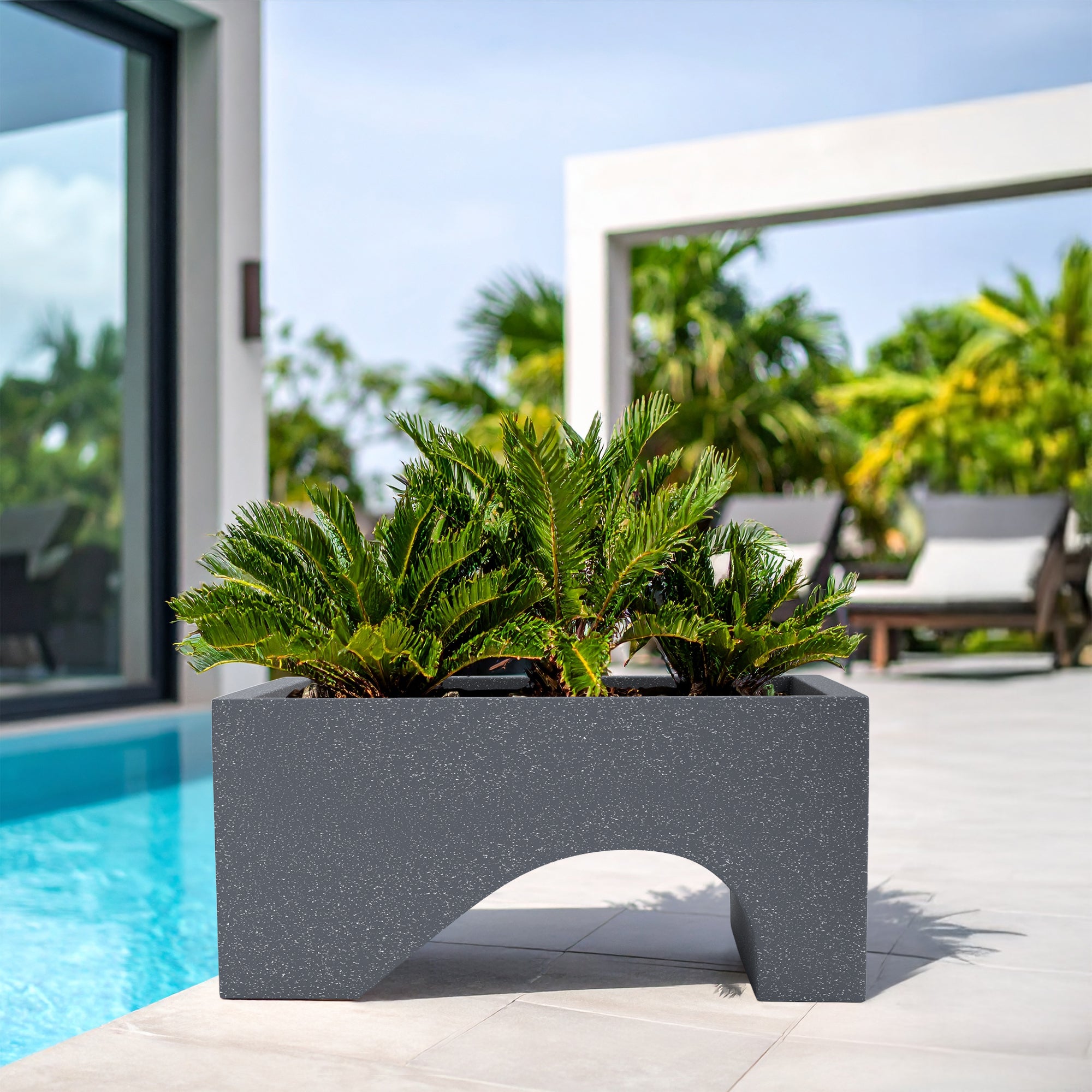 FOX B | UCTR PLANTER