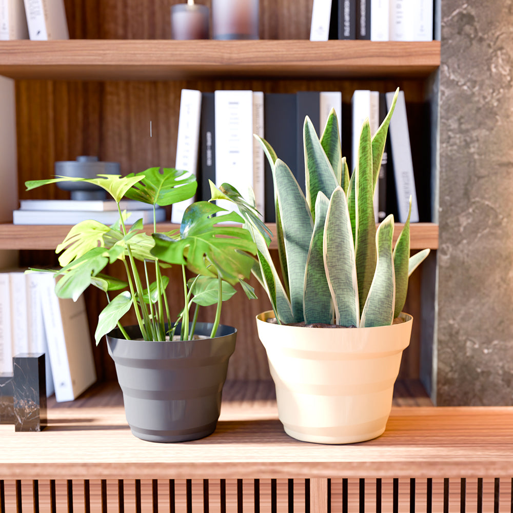 SHERA | RING PLANTER