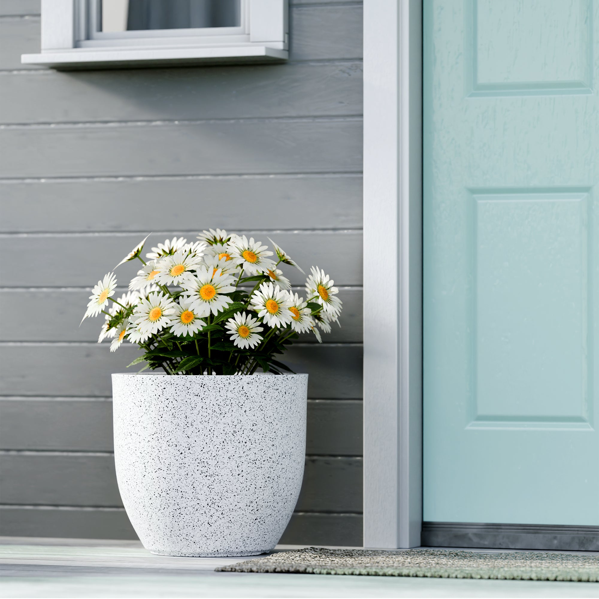 FOX B | P CUP PLANTER