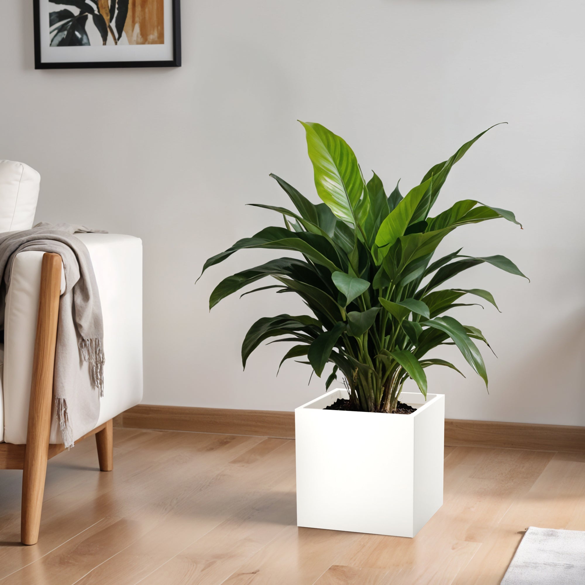 FOX B | CUBO PLANTER