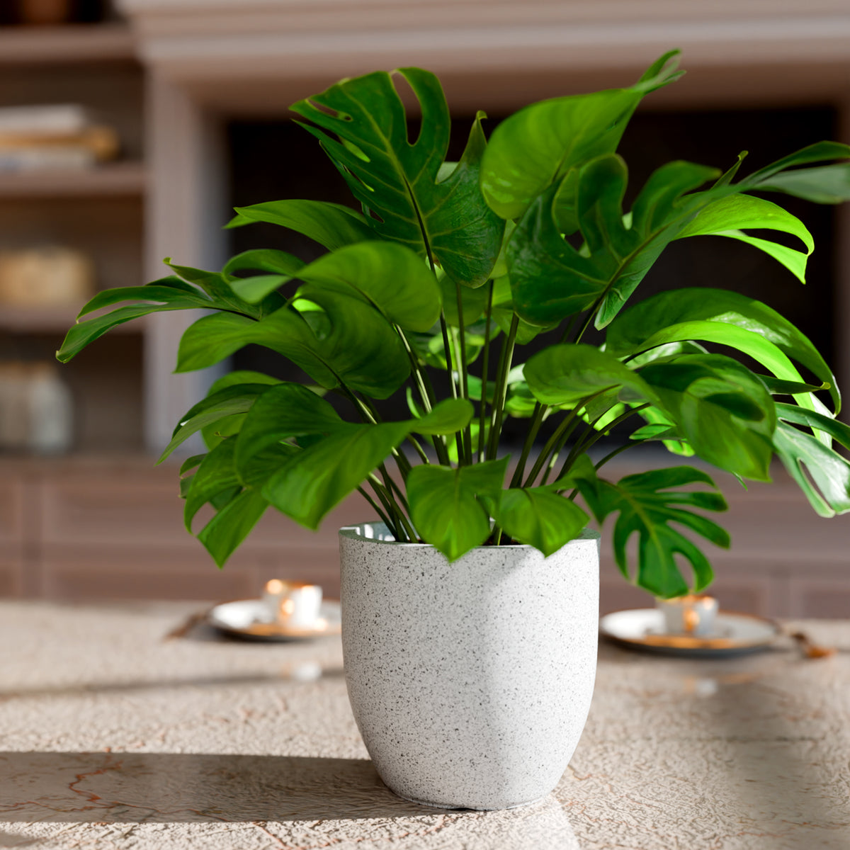 FOX B | P CUP PLANTER 6 INCH TO 15 INCH
