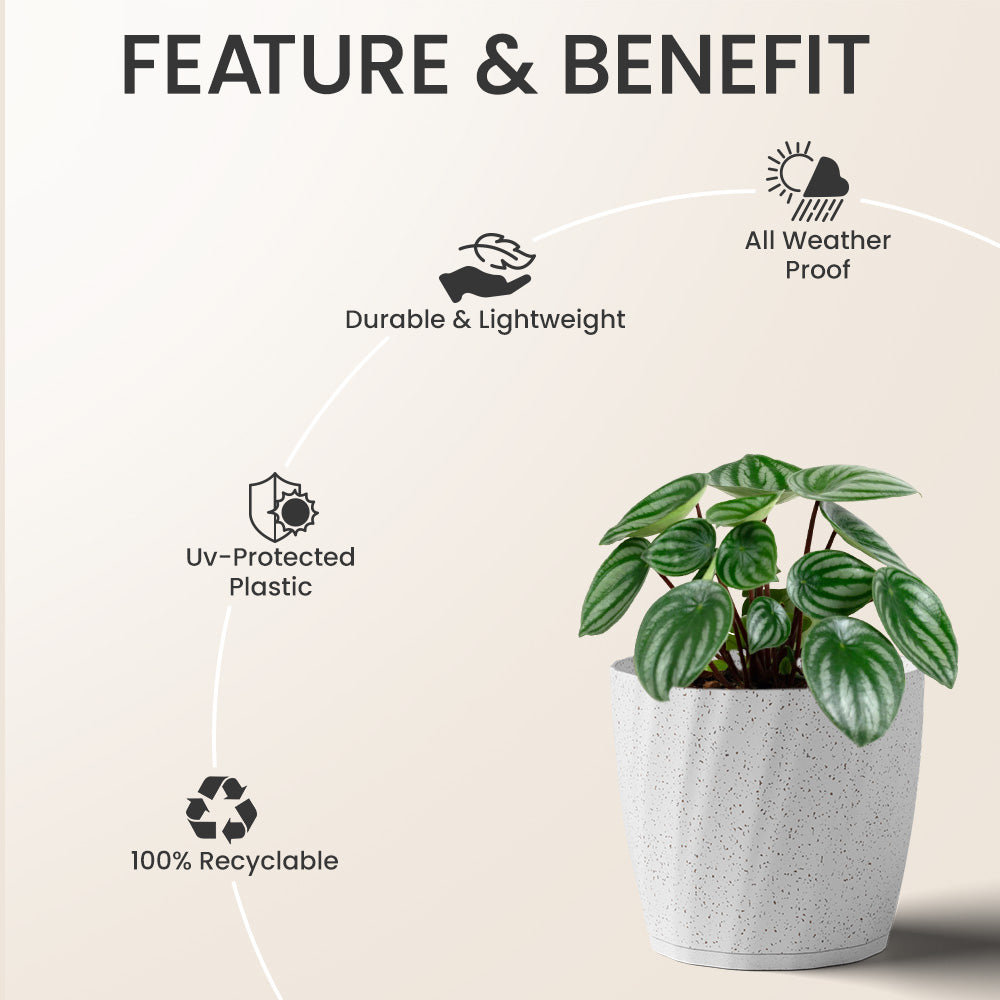 SHERA | ZINNIA PLANTER