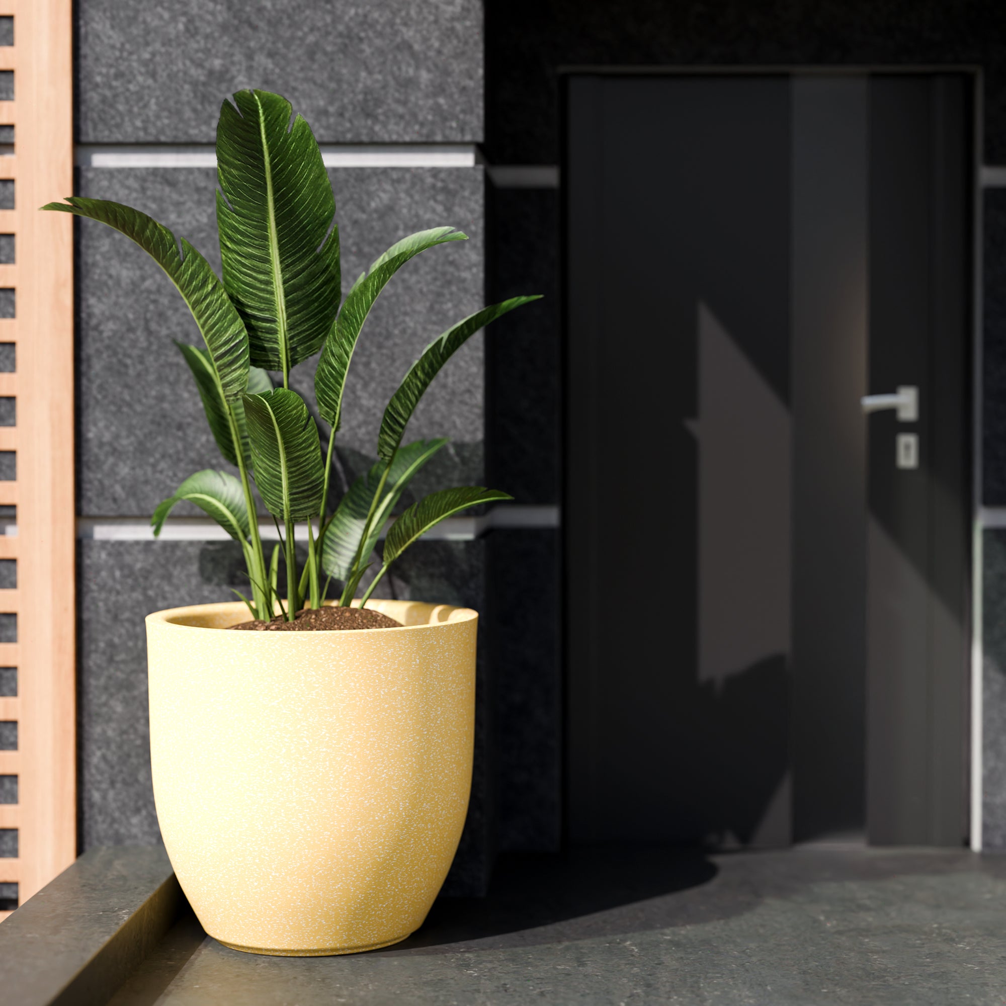 FOX B | P CUP PLANTER