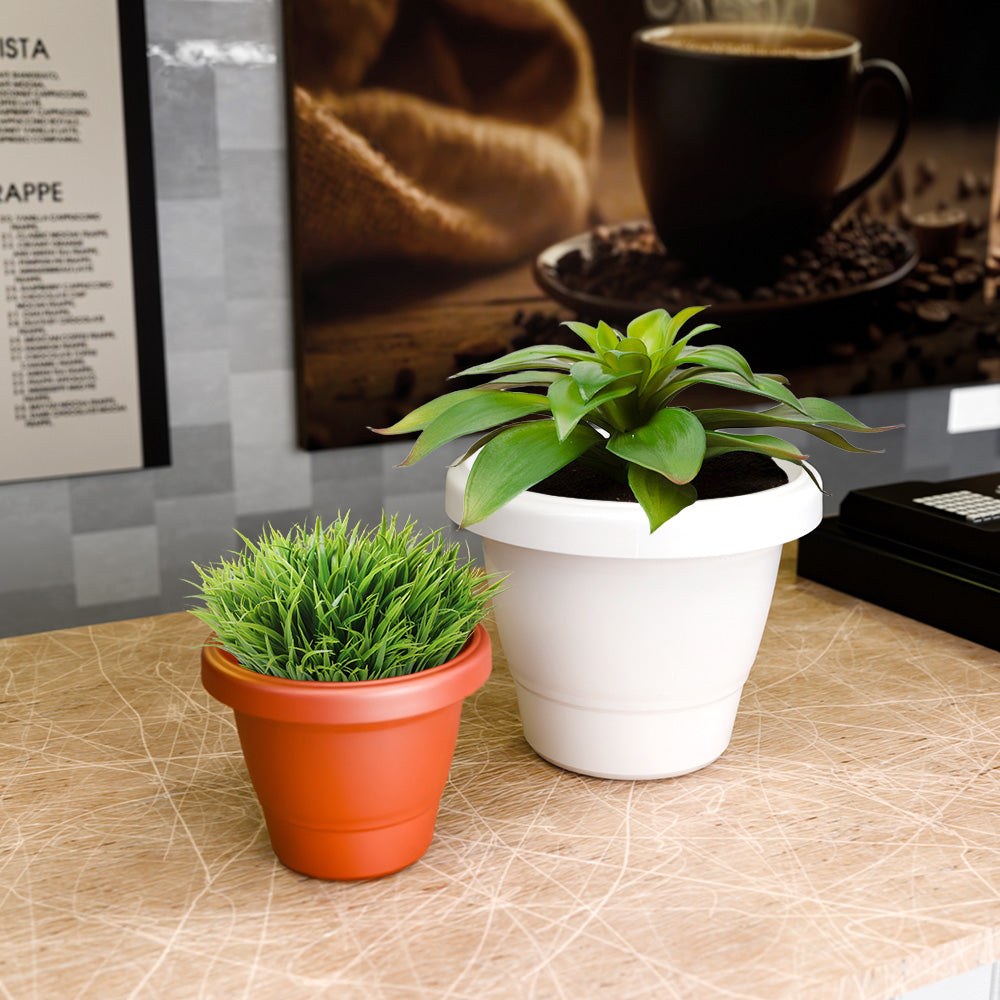 SHERA | SD PLANTER