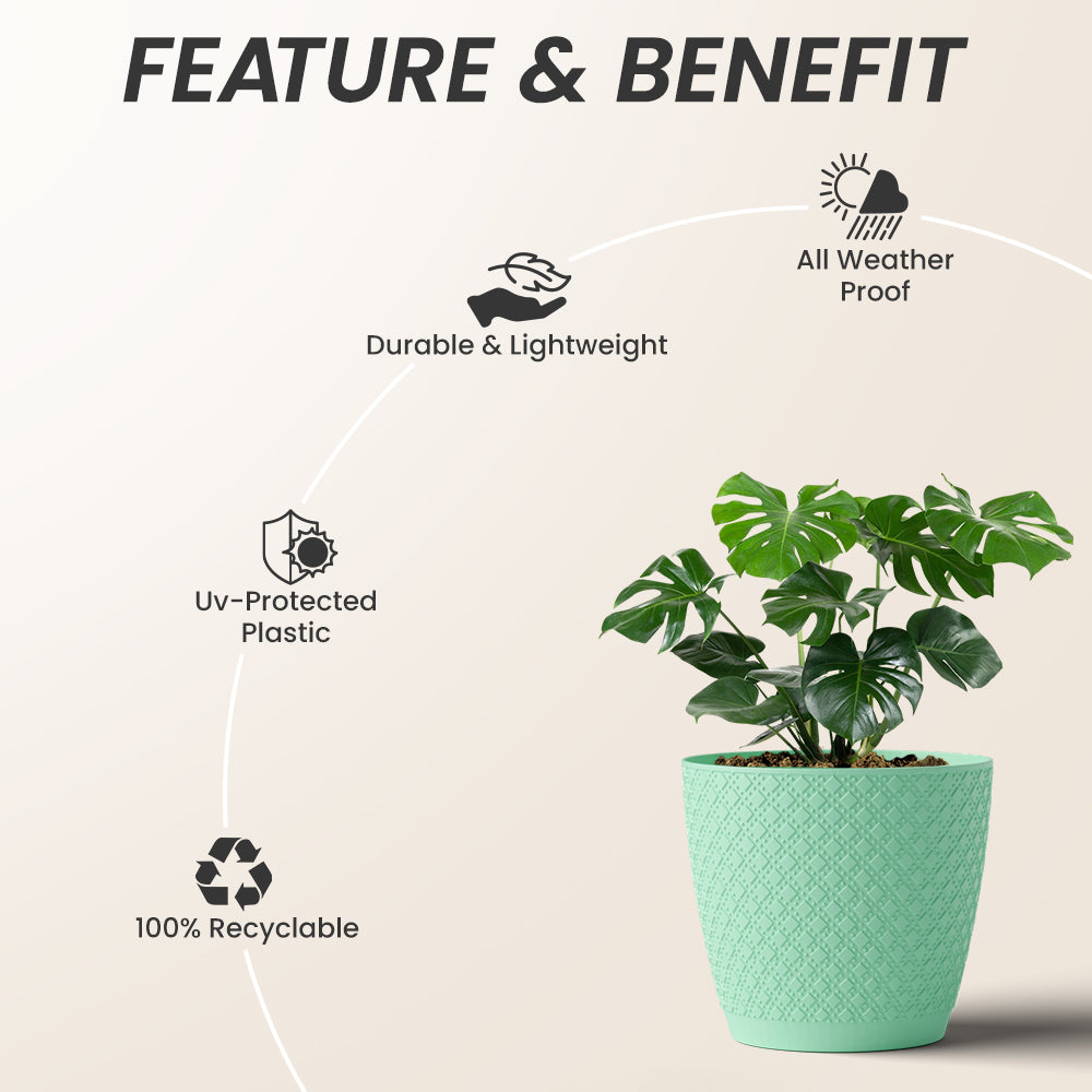 SHERA | CRUZ PLANTER