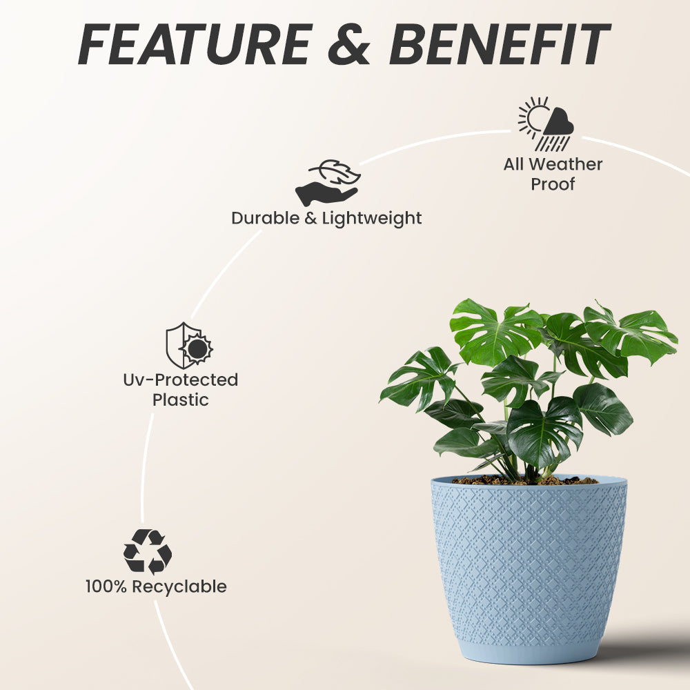 SHERA | CRUZ PLANTER