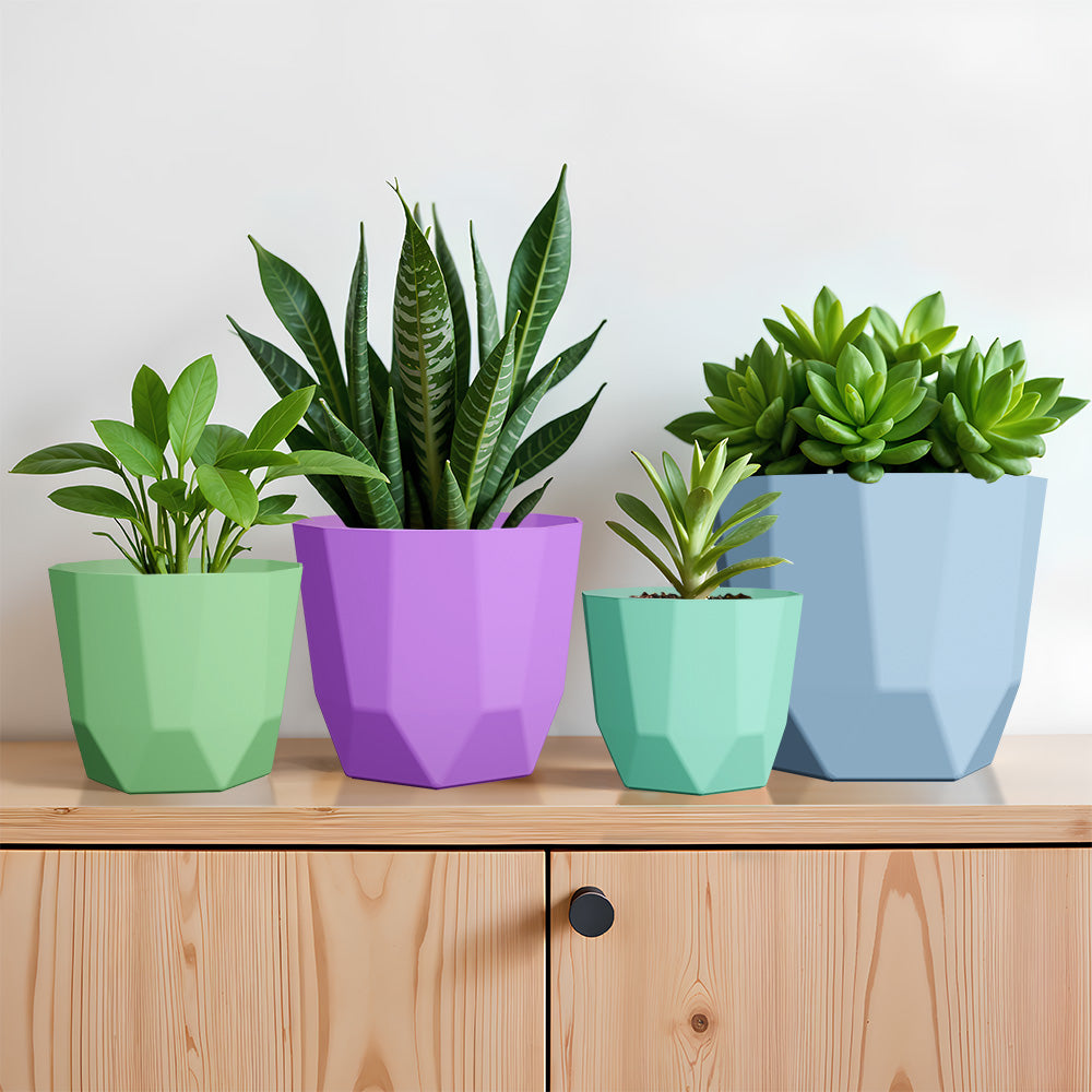 SHERA | HEXA PLANTER