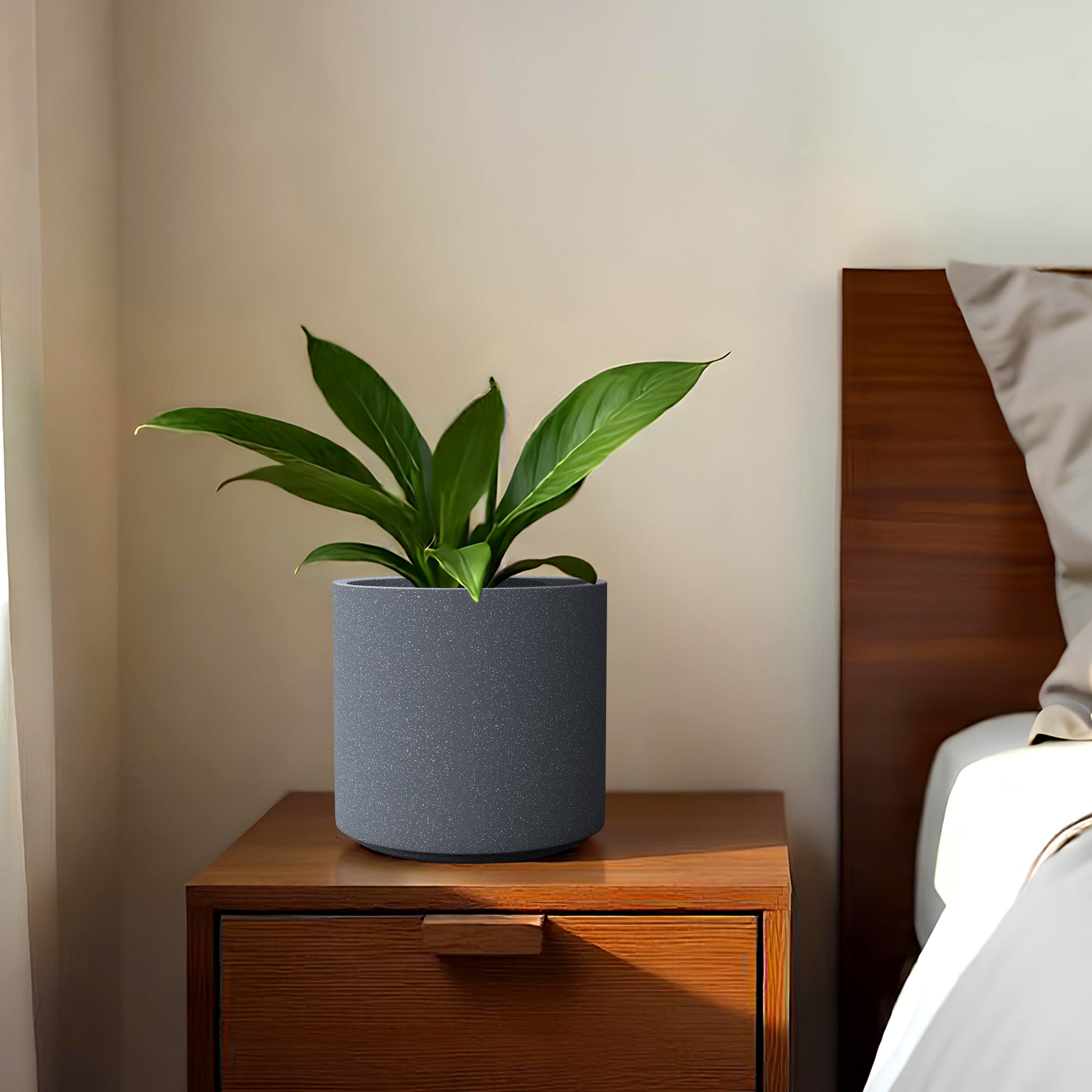 FOX B | CILIN PLANTER