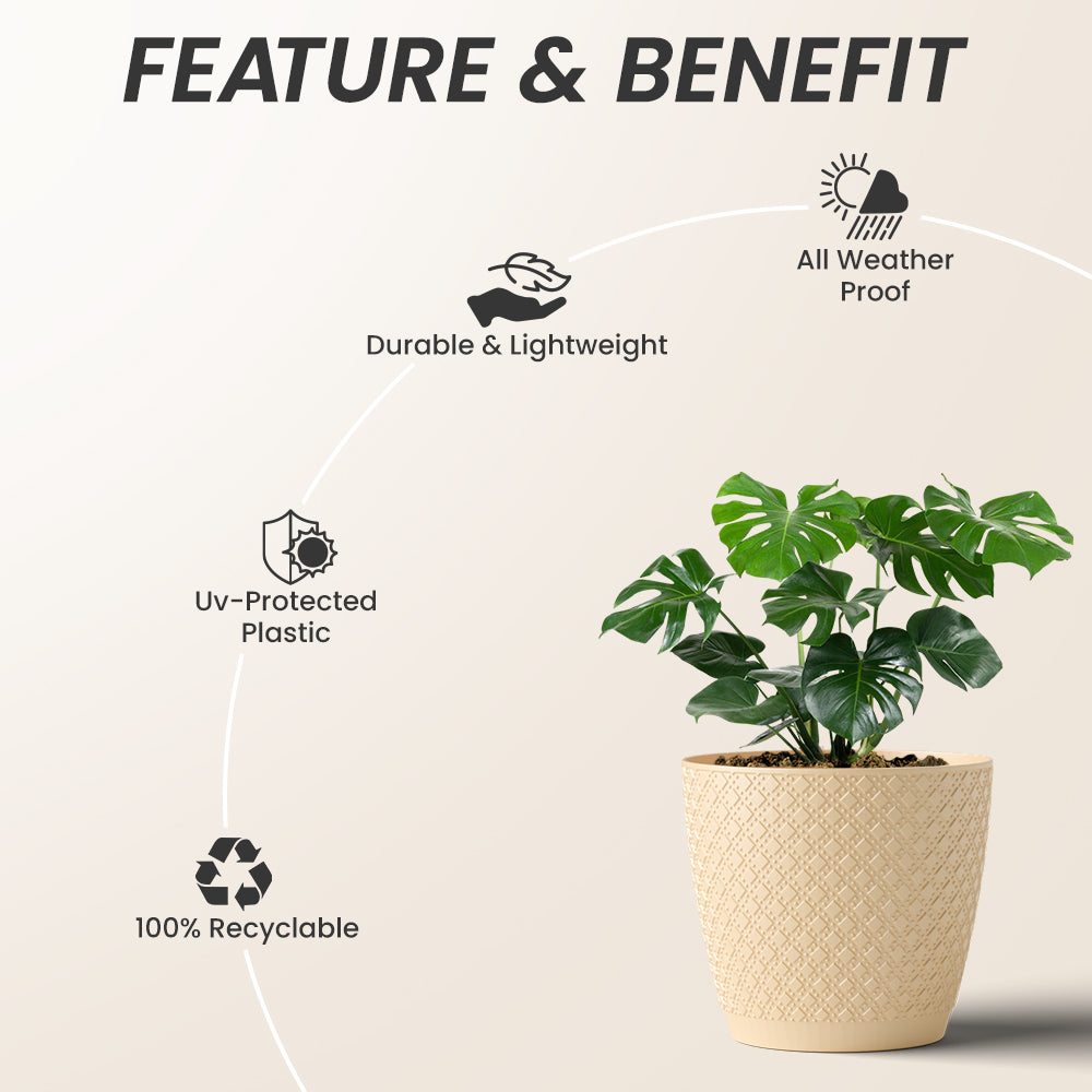 SHERA | CRUZ PLANTER