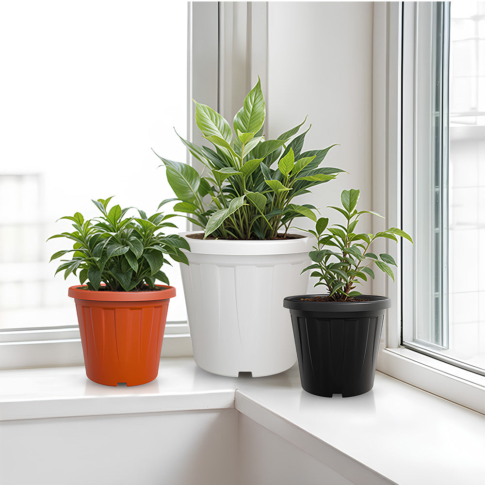 SHERA | CROWN PLANTER