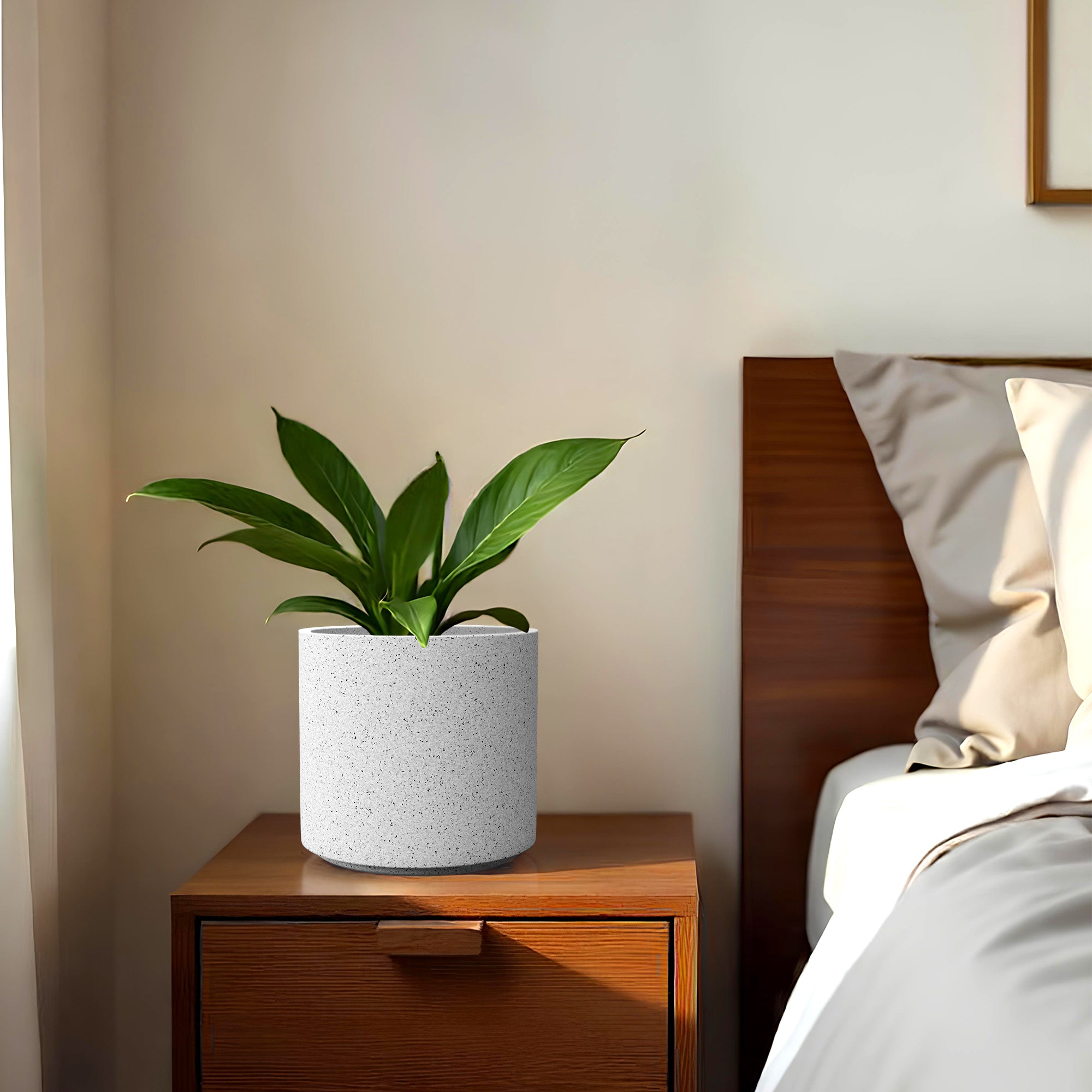 FOX B | CILIN PLANTER