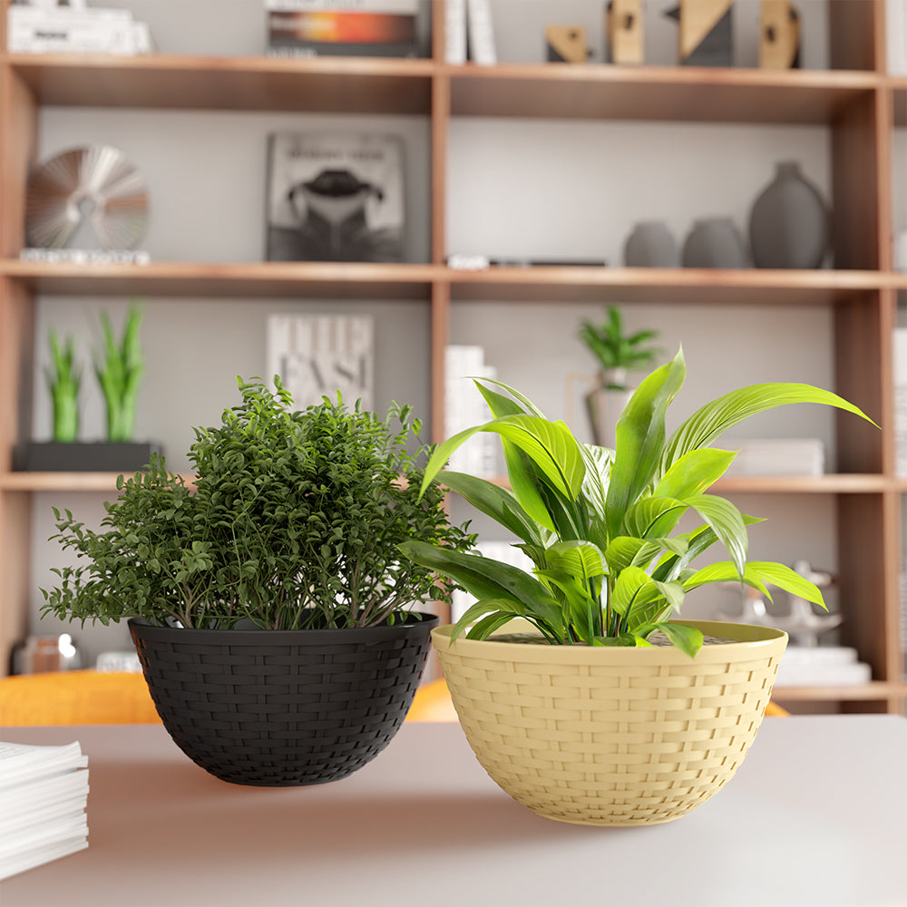 SHERA | CHICK KTR PLANTER