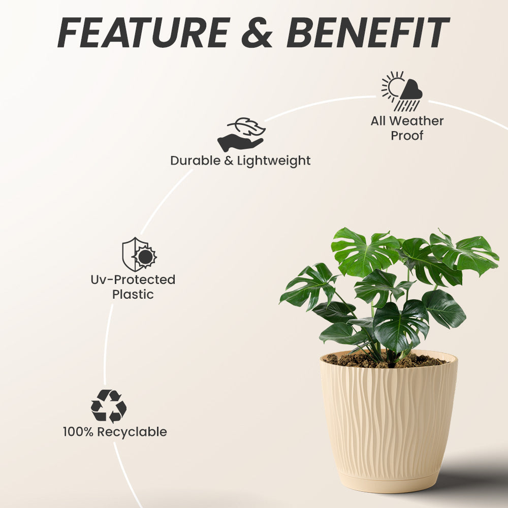 SHERA | EVA PLANTER