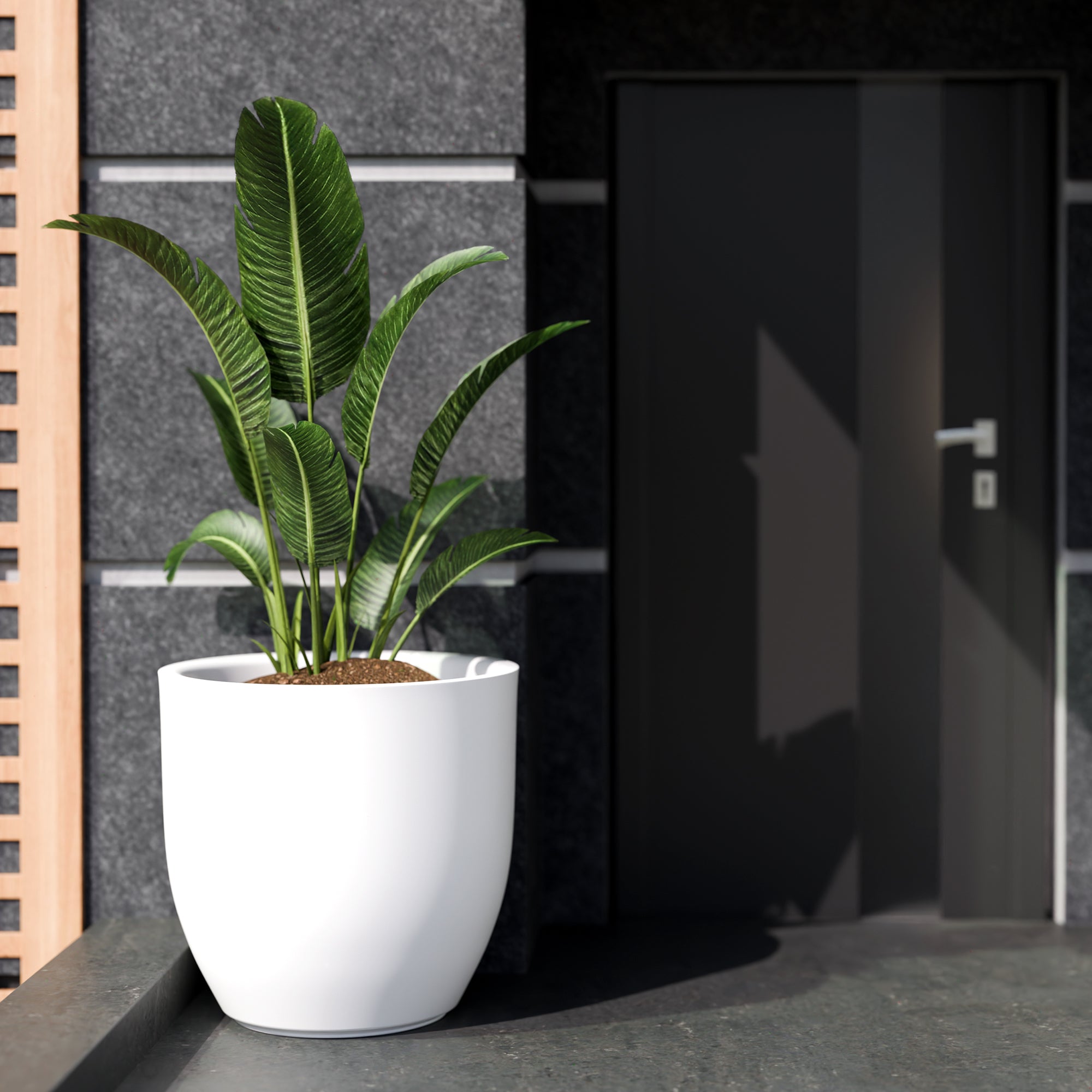 FOX B | P CUP PLANTER