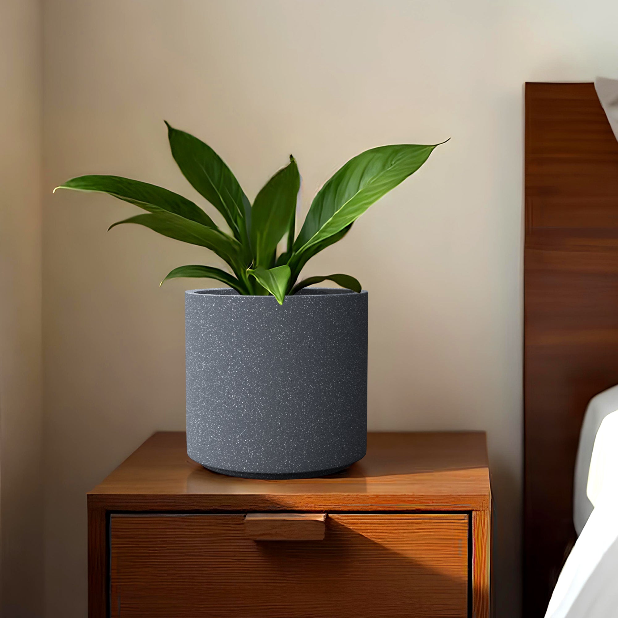 FOX B | CILIN PLANTER