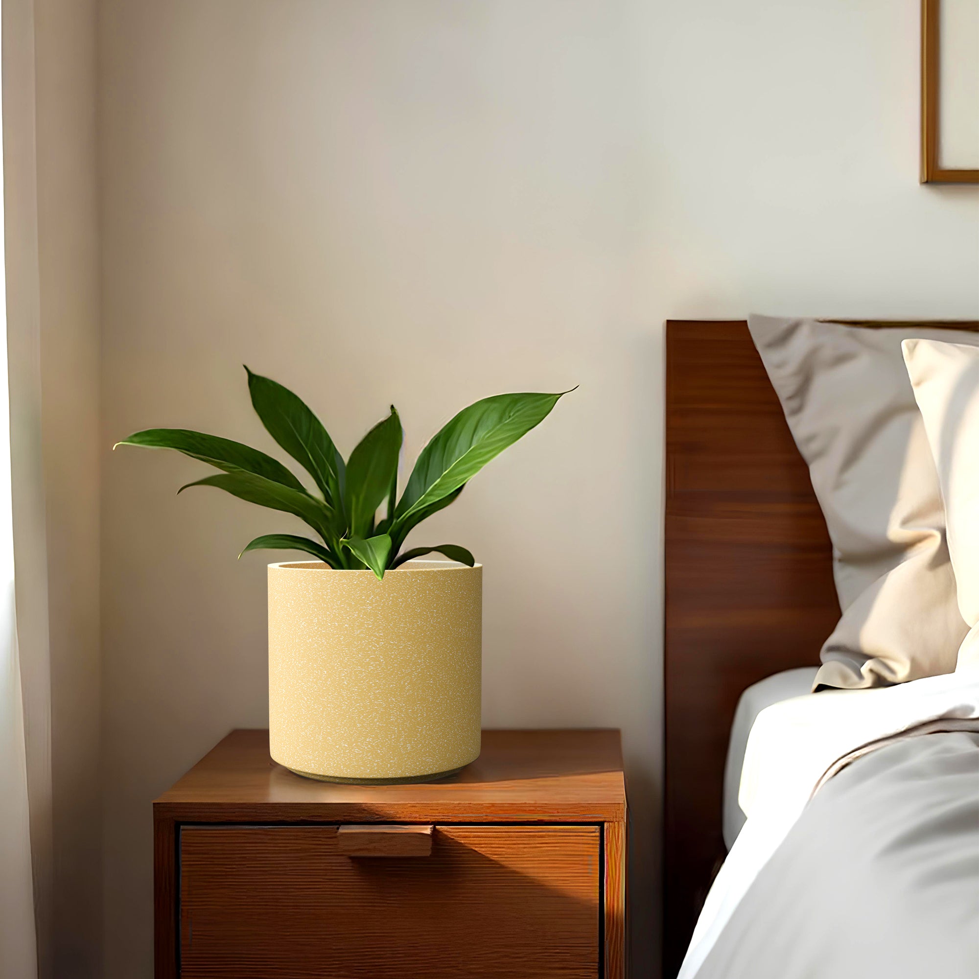 FOX B | CILIN PLANTER