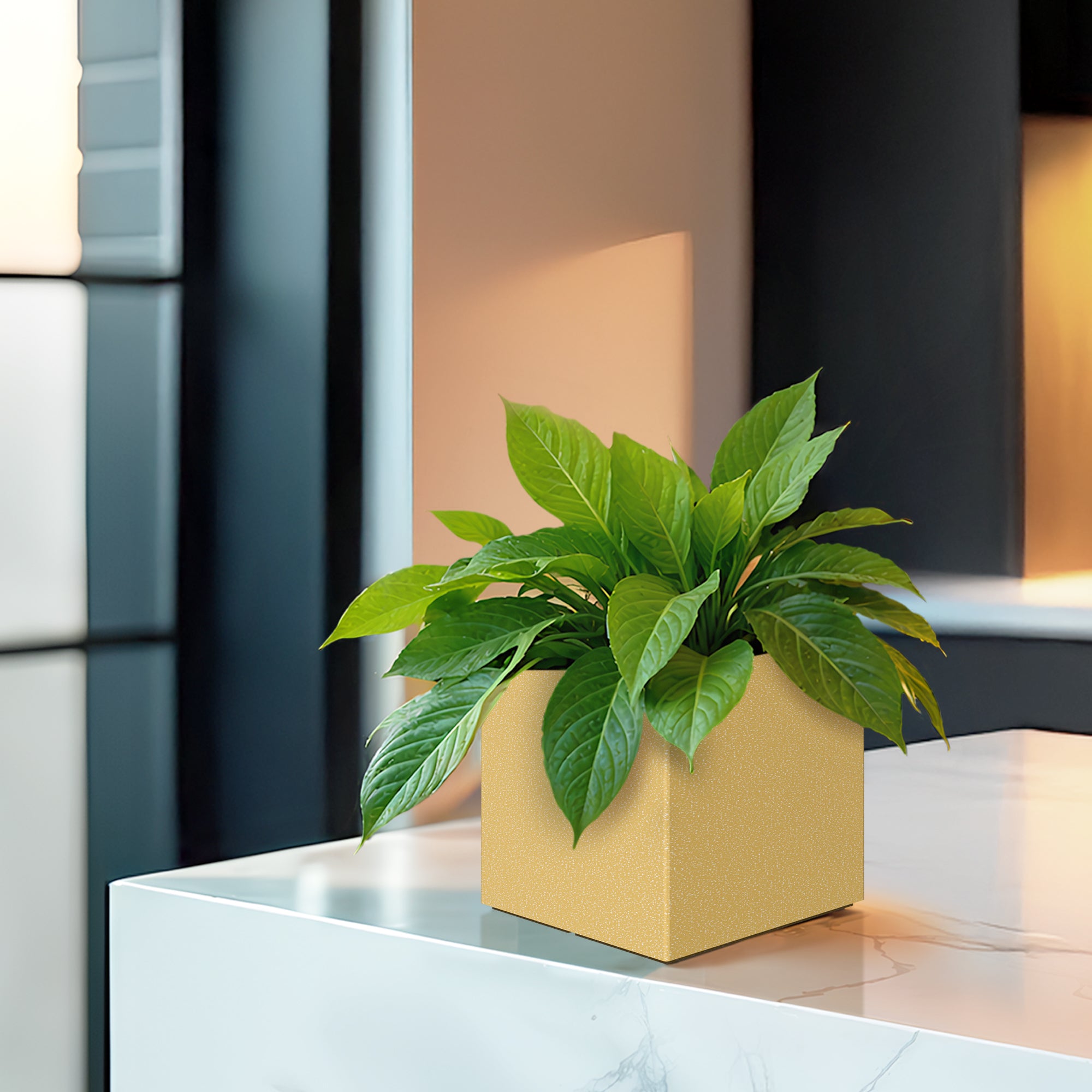FOX B | CUBO PLANTER