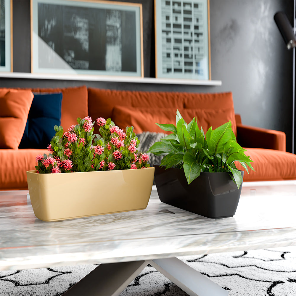 SHERA | CABI TRAY PLANTER