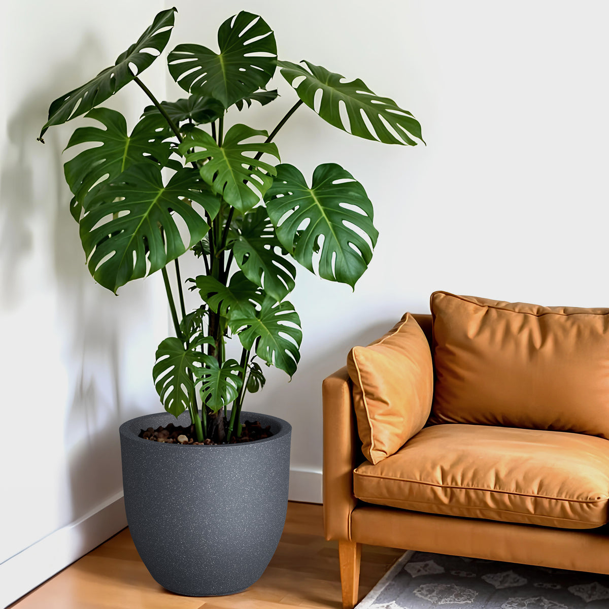 FOX B | P CUP PLANTER 6 INCH TO 15 INCH