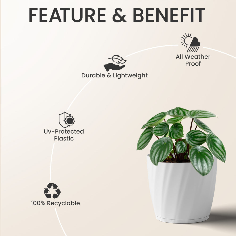 SHERA | ZINNIA PLANTER