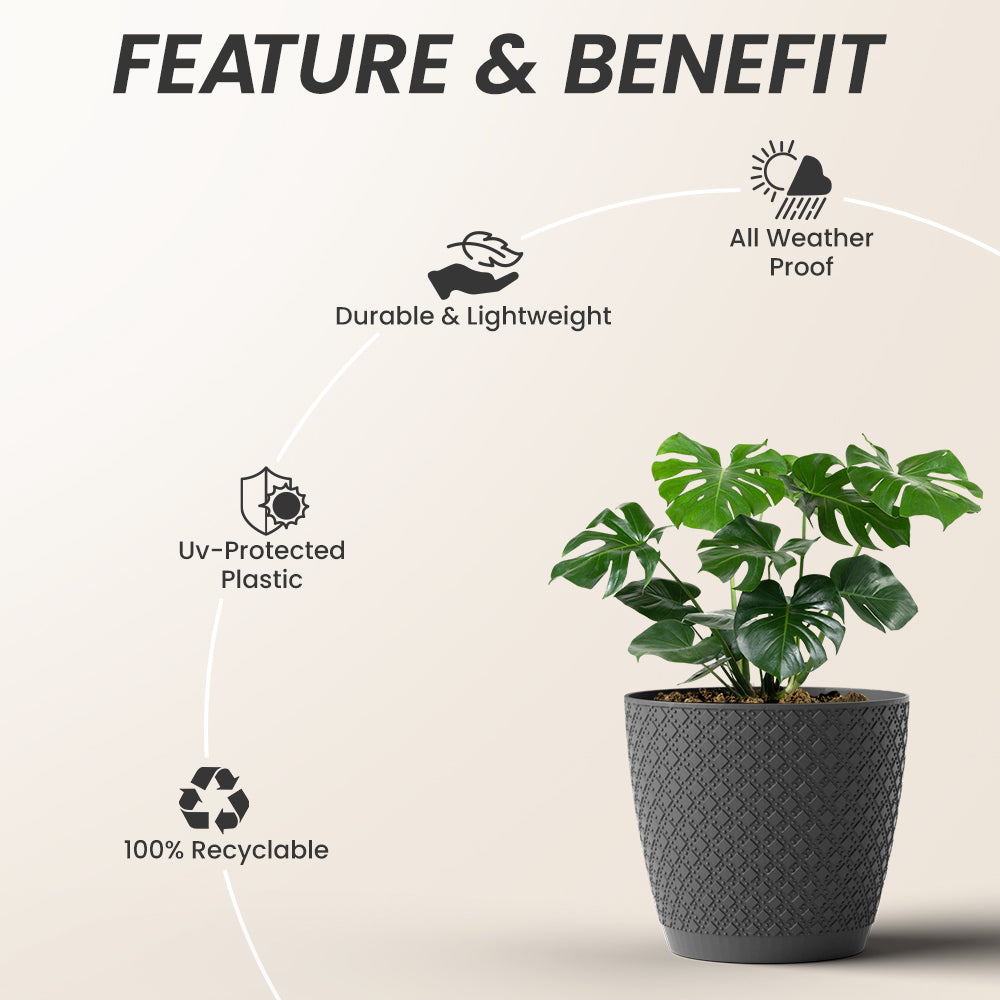 SHERA | CRUZ PLANTER