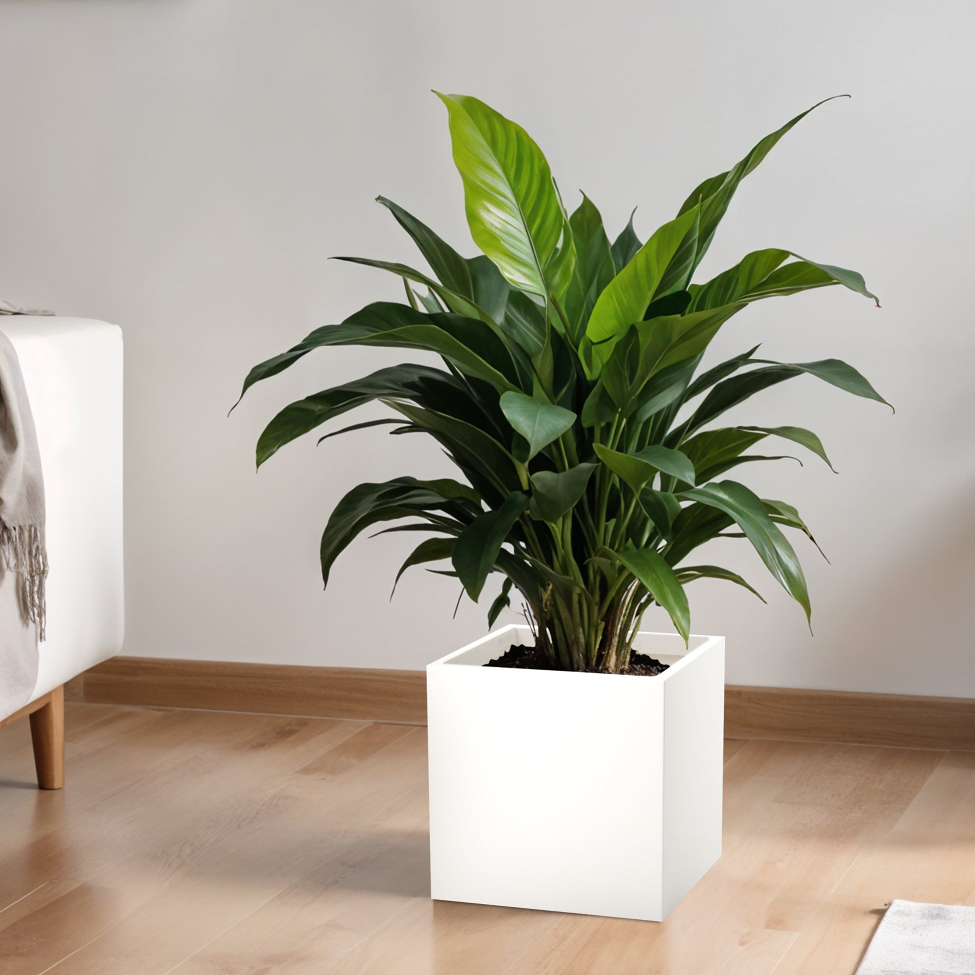 FOX B | CUBO PLANTER