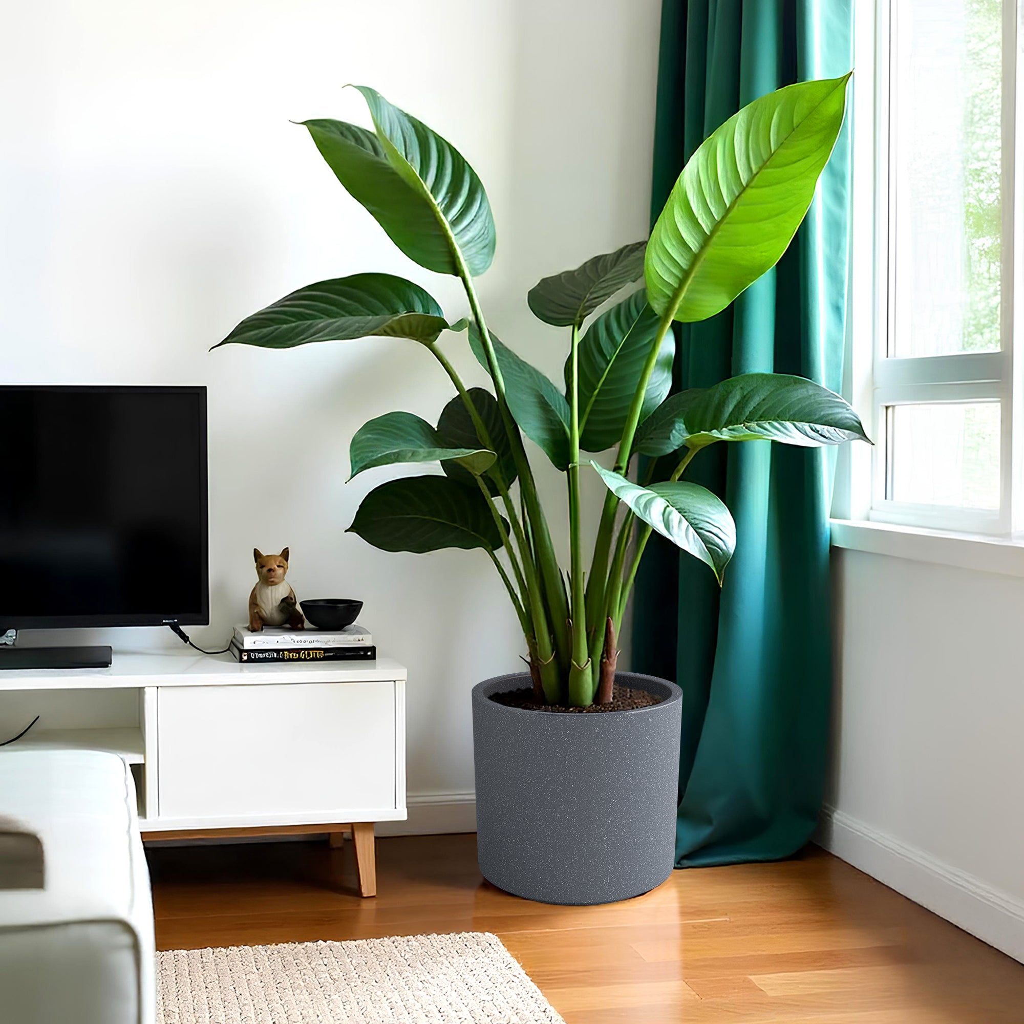 FOX B | CILIN PLANTER