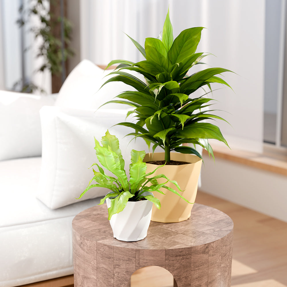 SHERA | SWIRL PLANTER