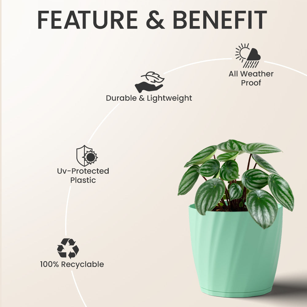 SHERA | ZINNIA PLANTER