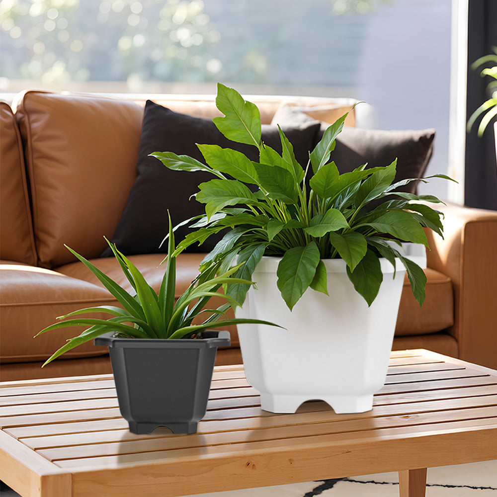 SHERA | OCTA PLANTER SET OF 12