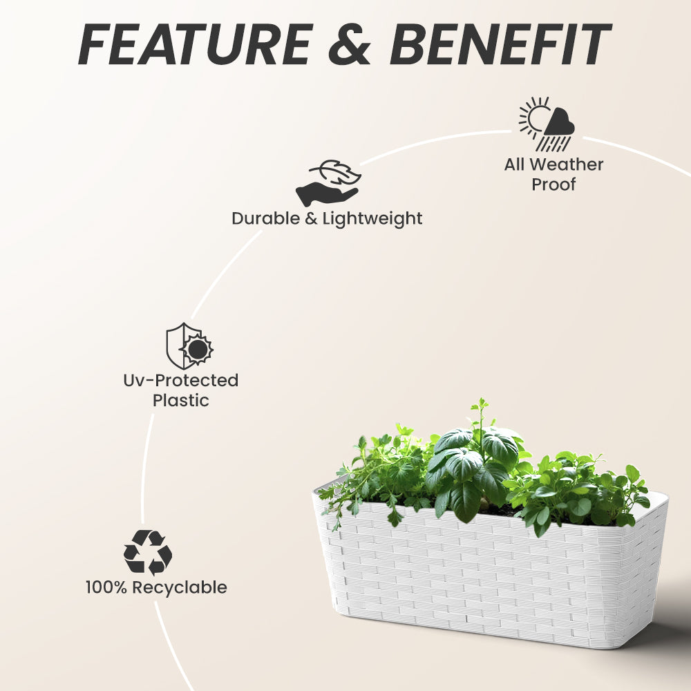 SHERA | RATTAN TRAY